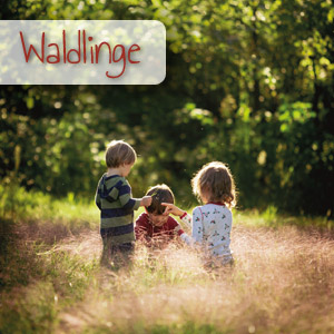 Waldlinge 2024 - Kranichwiesen Wildnisschule