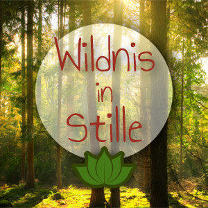 Wildnis in Stille - Kranichwiesen Wildnisschule